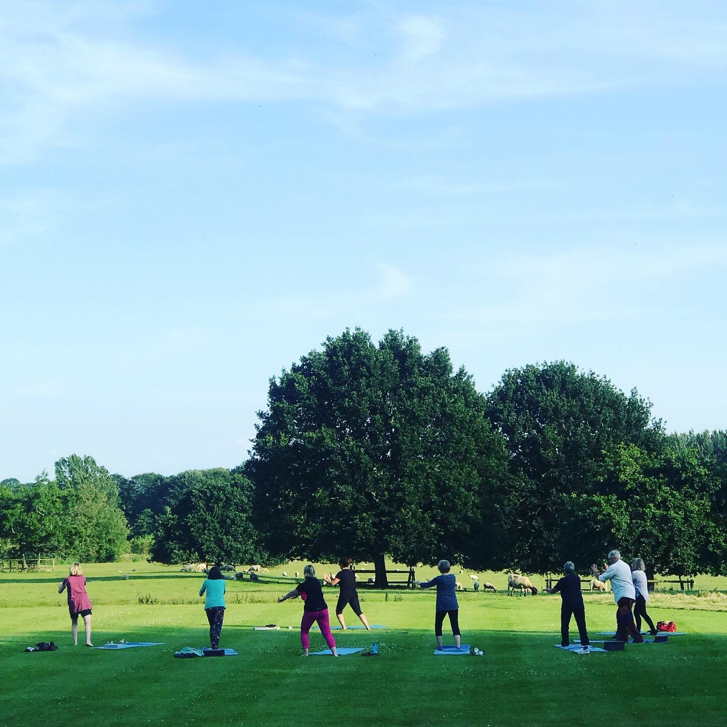 Tai Chi practice outside summer class at YogaSpace Yorkshire