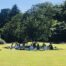 Summer Solstice Yoga retre at YogaSpace Yorkshire