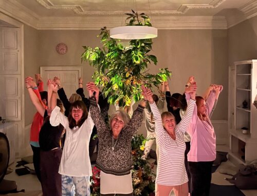 2023  Four Curated Special Yoga Retreat Weekends Yorkshire UK