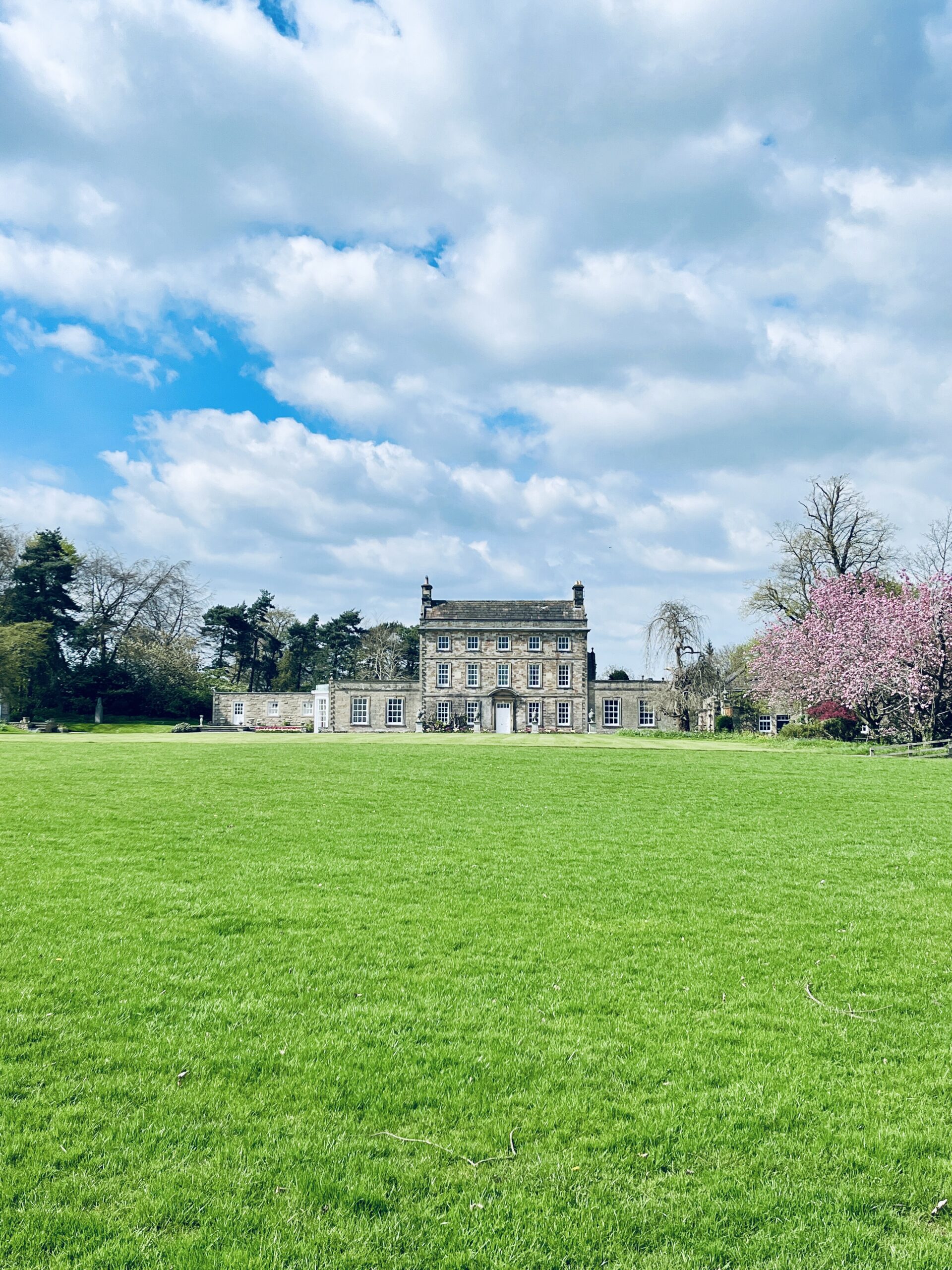 Yoga and Walking Retreat May 2026 at YogaSpace Yorkshire at Patrick Brompton Hall Spring blossom